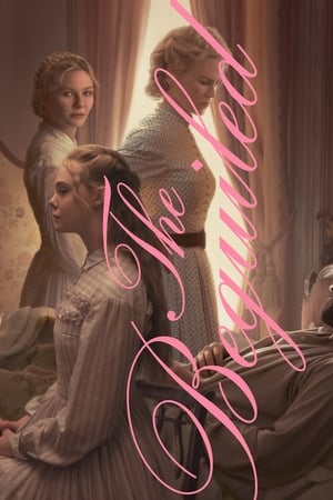 The Beguiled (2017) Hindi Dual Audio [780MB] Movie Poster