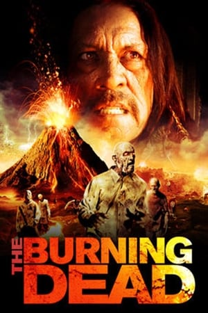 The Burning Dead (2015) Hindi Dual Audio [750MB] Movie Poster