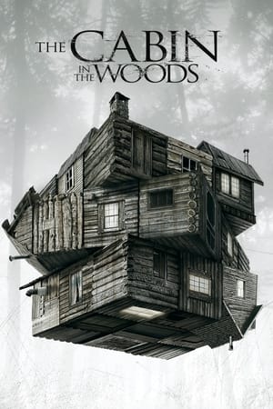 The Cabin in the Woods 2012 Dual Audio Hindi 300MB ESubs