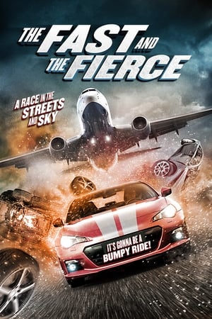 The Fast and the Fierce 2017 Hindi Dual Audio [900MB] Movie Poster