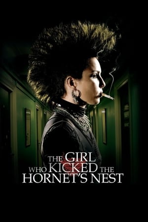 The Girl Who Kicked the Hornet's Nest (2009) Hindi Dual Audio 450MB Movie Poster