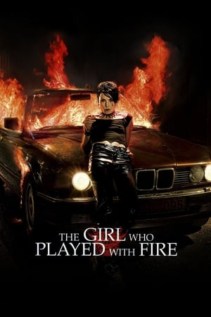 The Girl Who Played with Fire (2009) Hindi Dual Audio [800MB] Movie Poster
