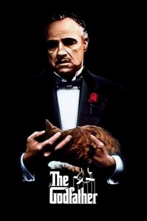 The Godfather Part I (1972) Dual Audio Hindi Movie - 1GB