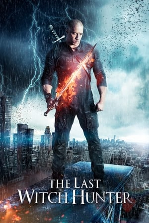 The Last Witch Hunter (2015) Hindi Dual Audio 300MB Movie Poster