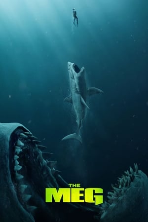 The Meg (2018) Hindi (Org) Dual Audio [1.1GB] Movie Poster