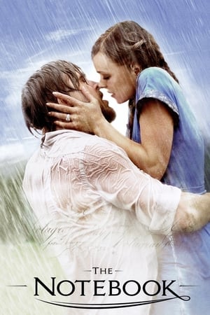 The Notebook 2004 Dual Audio Hindi 400MB Movie Poster