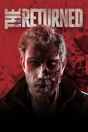 The Returned 2013 Dual Audio Hindi 300MB Movie Poster