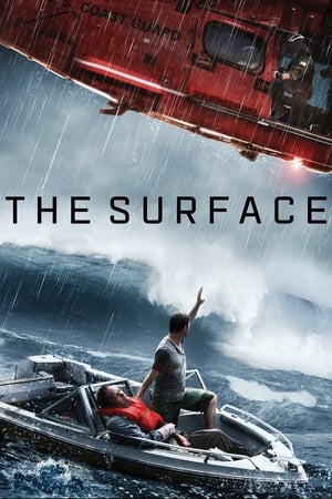 The Surface (2014) Hindi Dual Audio [800MB] Movie Poster