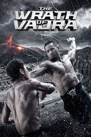 The Wrath of Vajra (2013) Hindi Dual Audio 350MB Movie Poster