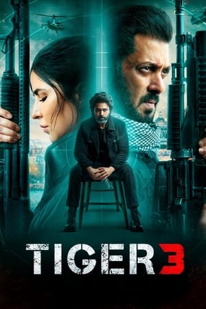 Tiger 3 2023 Hindi (ORG) – Movie Poster