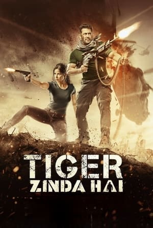 Tiger Zinda Hai 2017 490MB Movie Download Movie Poster
