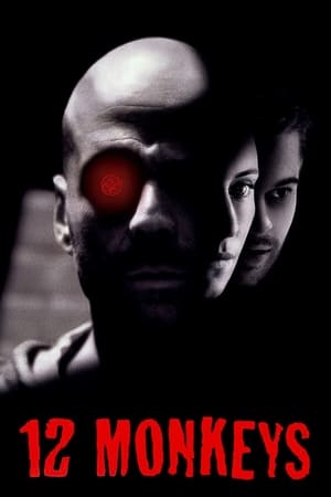 Twelve Monkeys (1995) Hindi Dual Audio Movie - 2.9GB Movie Poster