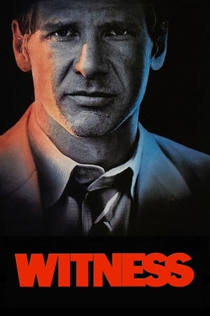 Witness (1985) 100mb Hindi Dual Audio movie Download Movie Poster