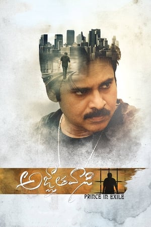 Yevadu 3 (Agnyaathavaasi) 2018 Dual Audio Hindi 450MB Movie Poster